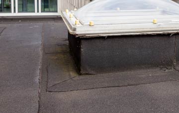 disadvantages of Mounton flat roofs