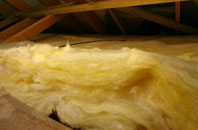 Mounton pitch roof insulation